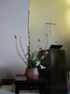 IMG_2797